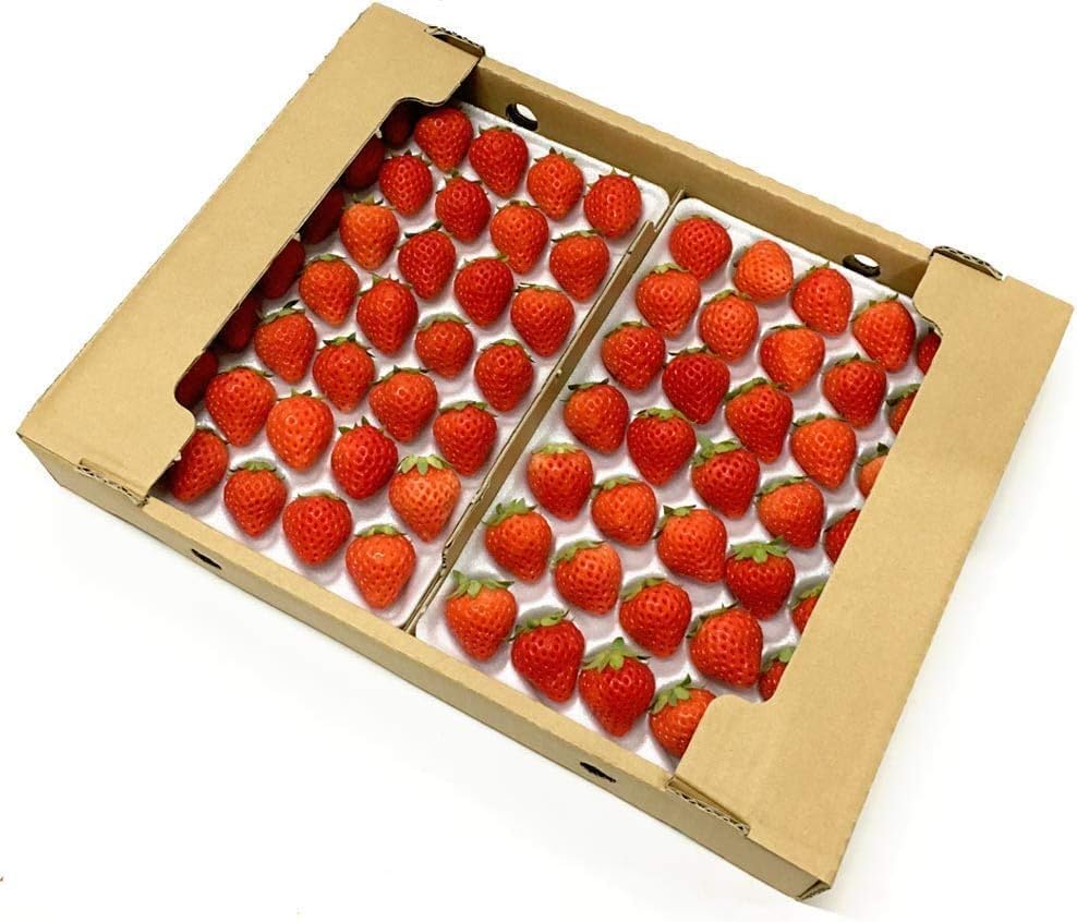 盛篭（ござ目）（竹製品） 盛篭（ござ目）（竹製品） 盛篭（ござ目